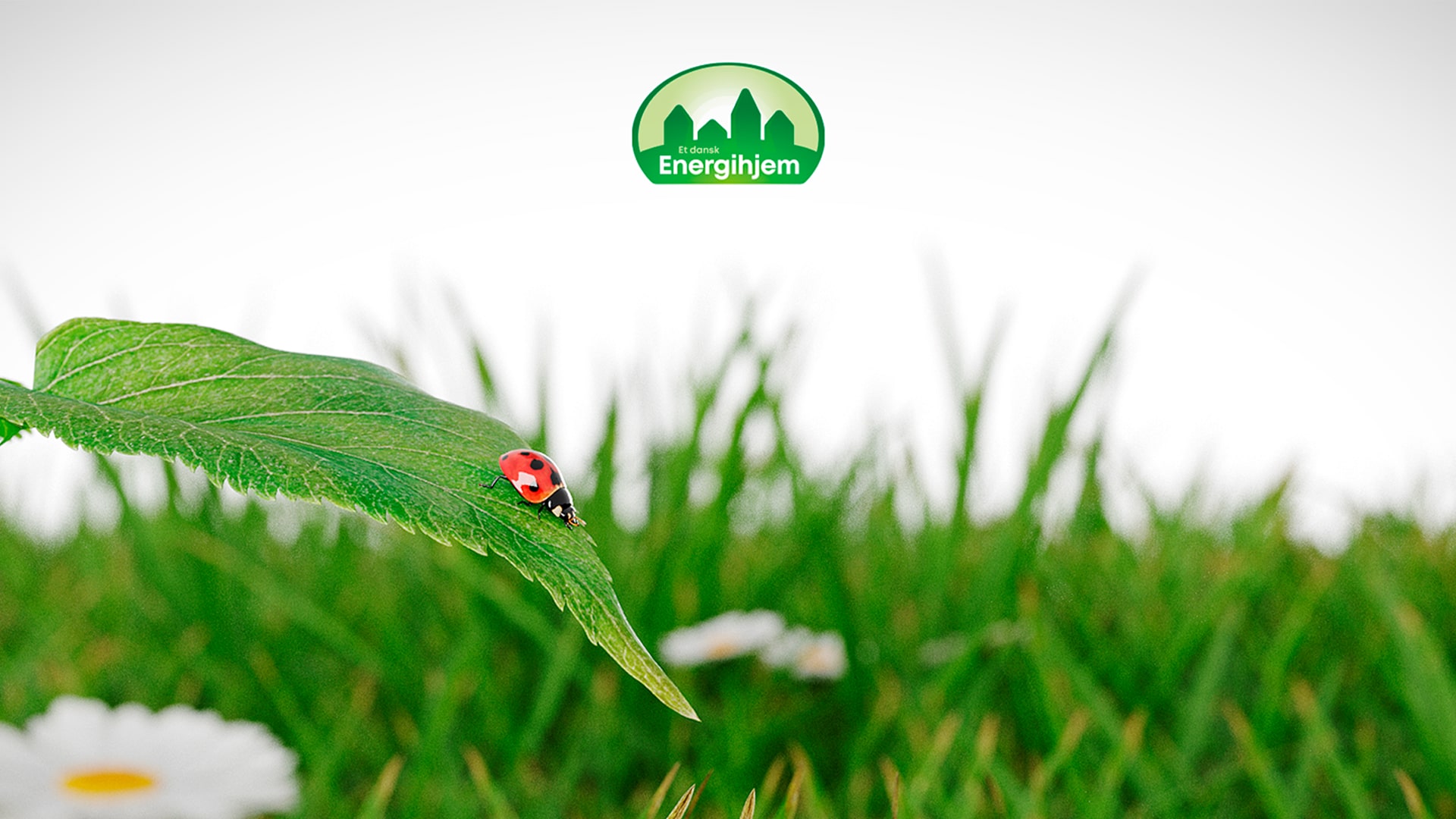 Om Energihjem dk Knudepunktet For Energirenoveringer